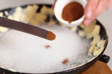 Sprinkle cinnamon powder over sugar layer. Making Apple Tarte Tatin with Cinnamon Series.