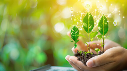 A person is holding a plant in their hands