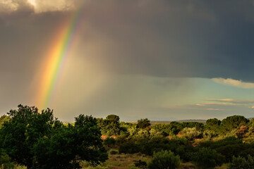 A vibrant rainbow stretches over a lush landscape with dark clouds above, showcasing nature's contrast and beauty.