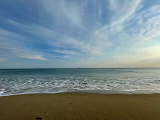 渥美半島 菜の花まつり