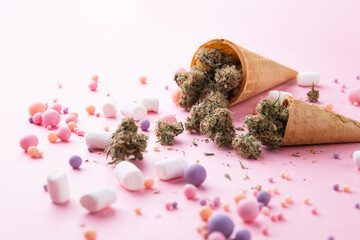 Dry buds of medical marijuana lie on waffle ice cream cones on a pink background.  There are candies and marshmellos around.  Alternative medical cannabis treatment