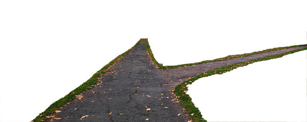 Dark Asphalt path in the green grass with autumn leaves
