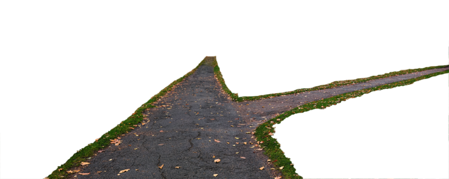 Dark Asphalt path in the green grass with autumn leaves
