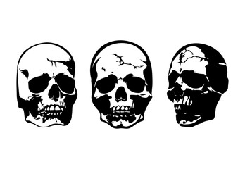 skull, silhouette, spooky, ghost, scary, creepy, mystery, cemetery, horror, halloween