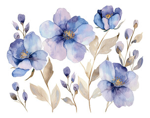 Watercolor blue flowers isolated on the white background.