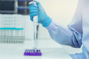 Women scientists are using aqueous release micro-pipette into the test tube. The process of...