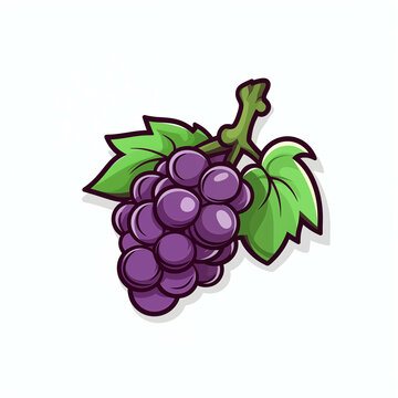 Drawing of purple grapes on a white background.