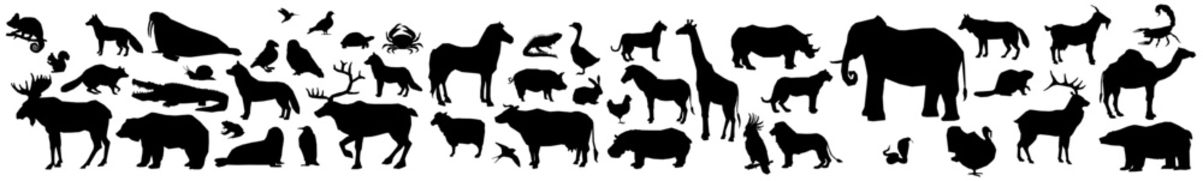 set silhouette of animals
