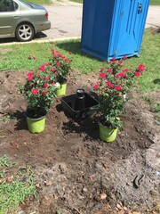 Investors and investments