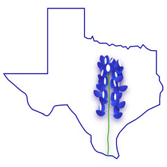 3d bluebonnet in Blue Texas Outline - obrazy, fototapety, plakaty