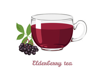 Elderberry tea in transparent glass cup. Vector cartoon illustration of sambucus berry tea.