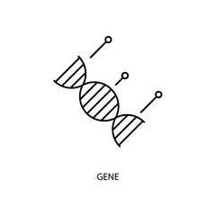 gene concept line icon. Simple element illustration. gene concept outline symbol design.