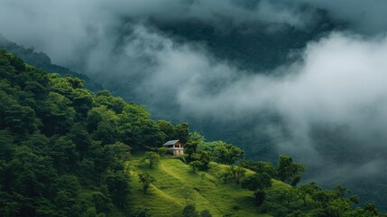 Secluded house on a misty hillside surrounded by lush greenery.