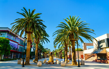Paseo de Cesar Chavez at San Jose State University in California, United States - 748843696