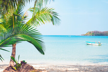 A serene tropical beach scene with a palm tree overlooking a tranquil blue ocean with a moored boat..