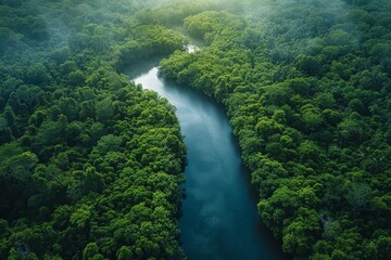 Naklejka na ściany i meble This breathtaking aerial shot captures the winding journey of a river cutting through the lush greenery of a dense forest