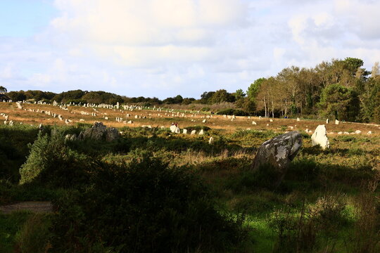 The Carnac stones are an exceptionally dense collection of megalithic sites near the south coast of Brittany in northwestern France