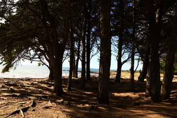 The tip of Kerpenhir is a peninsula, located in the town of Locmariaquer which marks the entrance of the Gulf of Morbihan