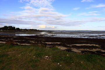 The tip of Penvins is a peninsula of the town of Sarzeau , Brittany