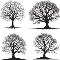 Tree silhouette without leaves, vector artwork of a tree