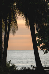 beautiful sunset view over the ocean palm tree silhouettes