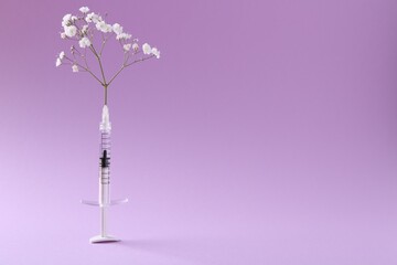 Cosmetology. Medical syringe and gypsophila on violet background, space for text