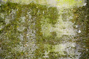 Decayed Concrete Wall Texture