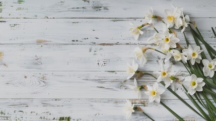 white textured rustic wooden background with Daffodils on the right, flat lay, copy space
