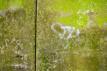 Green Weathered Wall Texture