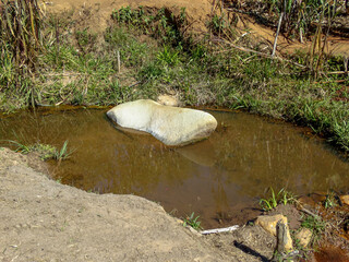 White stone in a lake near the waterfall, photographed in Três Barras, Serro, Minas Gerais.