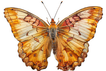 Fluttering jewels, butterflies adorn the tapestry of nature's beauty on a transparent background. 