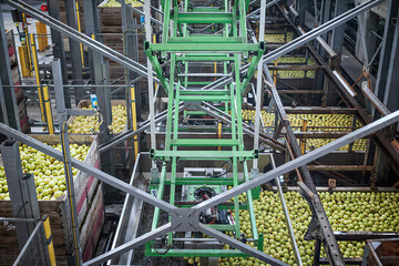 apple factory plant industry