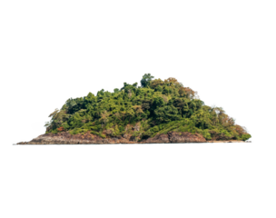 green tropical island isolated