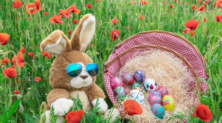 Lapin en peluche au milieu d'un champs de coquelicots avec un panier en osier rempli d'œufs de Pâques décorés.	