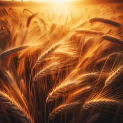  the golden beauty of a wheat field swaying gently in the breeze under the warm sunlight, with stalks reaching towards the sky and creating mesmerizing patterns, generative ai