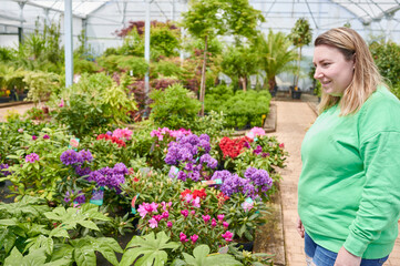 Plus size woman searching for decorative plants and flowers inside the greenhouse of a garden center bussiness. Nursery scenes.