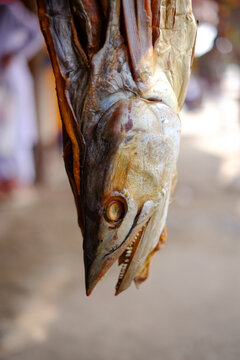 Close up image of a dried fish hanging on a market