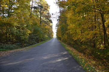 Fototapeta premium Jesienny pejzaż