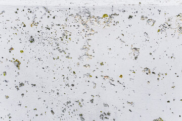 Weathered Concrete Wall Texture