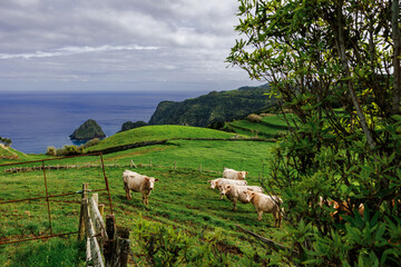 Obraz premium Landscapes at Azores islands, hiking at Santa Maria, Portugal, travel in Europe.