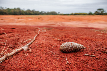 Landscapes at Azores islands, hiking at Santa Maria, Portugal, travel in Europe.