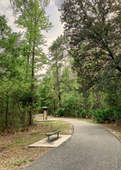 A paved path through a forested park on a spring day