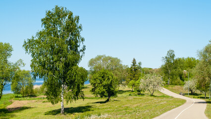 Fototapeta na wymiar road in the park, photo of the park in summer, road, trees and river