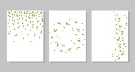 Flying green tea leaves set of postcard backgrounds. Vector illustration. Social media banner template, for stories, posts, blogs.