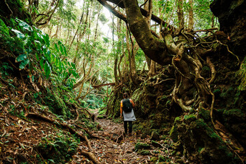 Landscapes at Azores islands, hiking at Santa Maria, Portugal, travel in Europe.