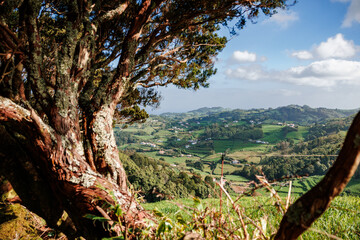 Landscapes at Azores islands, hiking at Santa Maria, Portugal, travel in Europe.