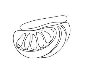 Vector isolated orange fruit slices one single contemporary line art colorless black and white contour line easy drawing