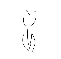 Vector isolated one single simple tulip flower silhouette  colorless black and white contour line easy drawing