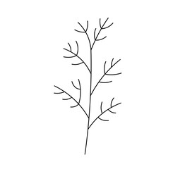 Vector isolated one single simple sprig of dill colorless black and white contour line easy drawing