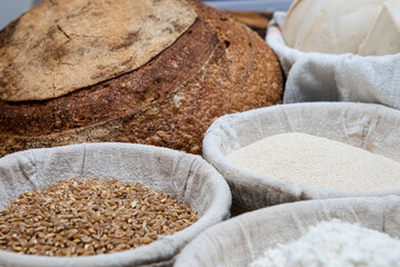 grain, wheat and bread